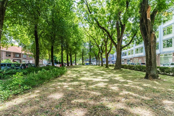 Medium property photo - Trouwlaan 251, 5021 WH Tilburg